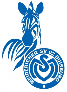 MSV Logo_NEU_WEB